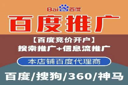 深度解析SEM推广代运营的成功案例及策略